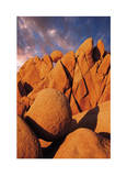 Joshua Tree Sunset I