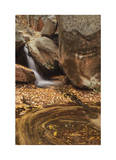 Zion National Park II