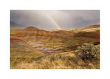 Painted Hills and Rainbow