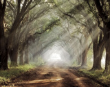 Evergreen Plantation
