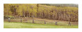 Pine Butte Conservancy Panorama