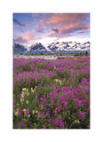Fairweather Range I