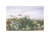 Hedgerow II
