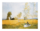 In a Summer Meadow