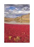 Lac du Bois Grasslands Park II