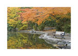 Lithia Park Pond
