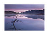 Painted Hills Lake at Dawn I