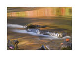 Rogue River Reflections II