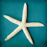 Sea Star II