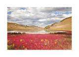 Lac Du Bois Grasslands Park I