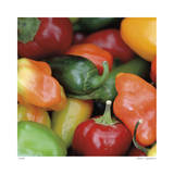 Rainbow Peppers