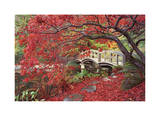 Japanese Gardens