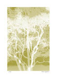 Views of Trees 5