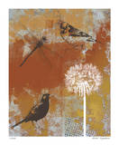 Les Ouiseaux II