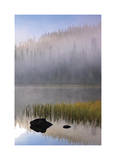 Scott Lake