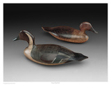 Stevens Pintail Pair