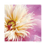 Peony Abstract