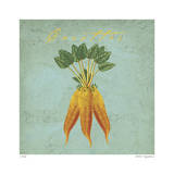 Carottes