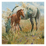 Springtime in the Llano Estacado