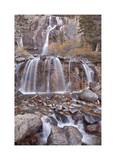 Tangle Falls I