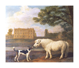 Pony and Hound In Front of Brocklesby Park