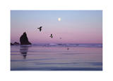 Canon Beach Sunset