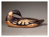 Wilson Merganser