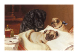 Retriever and Two Pugs