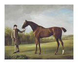 'Lustre' Horse Held by Groom