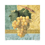 Grapes Collage