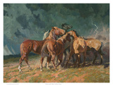 Storm on the Plains