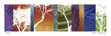 Trees of the Sierra I