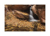 Zion National Park I