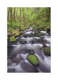 Columbia River Gorge II