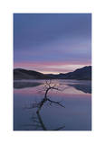 Painted Hills Lake at Dawn II