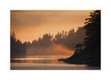 Glowing Mist