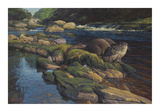 Riverbank Tales