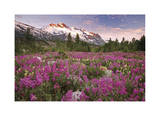 Fairweather Range II