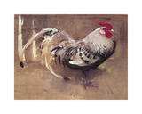 The Spangled Cock