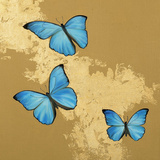 Cerulean Butterfly II