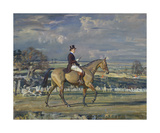 Paul Mellon on Dublin
