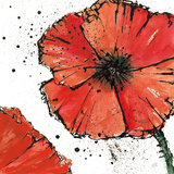 Not a California Poppy IV