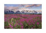 Fairweather Range III