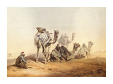 Middle East Views II