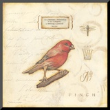 Color Bird I