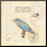 Color Bird III