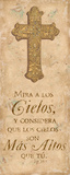 Cielos