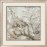 Almond Branches in Bloom  San Remy  c1890 (tan)
