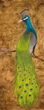 Peacocks I