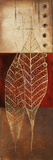 Fossil Leaves I
